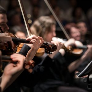 people playing violin inside dim room