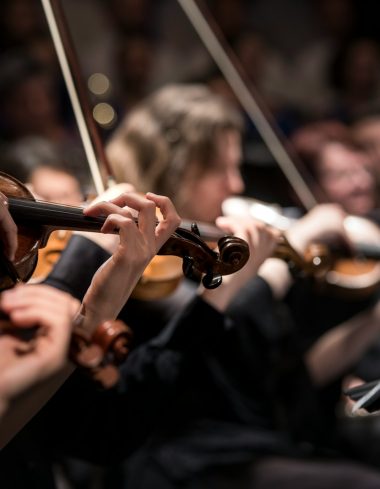 people playing violin inside dim room